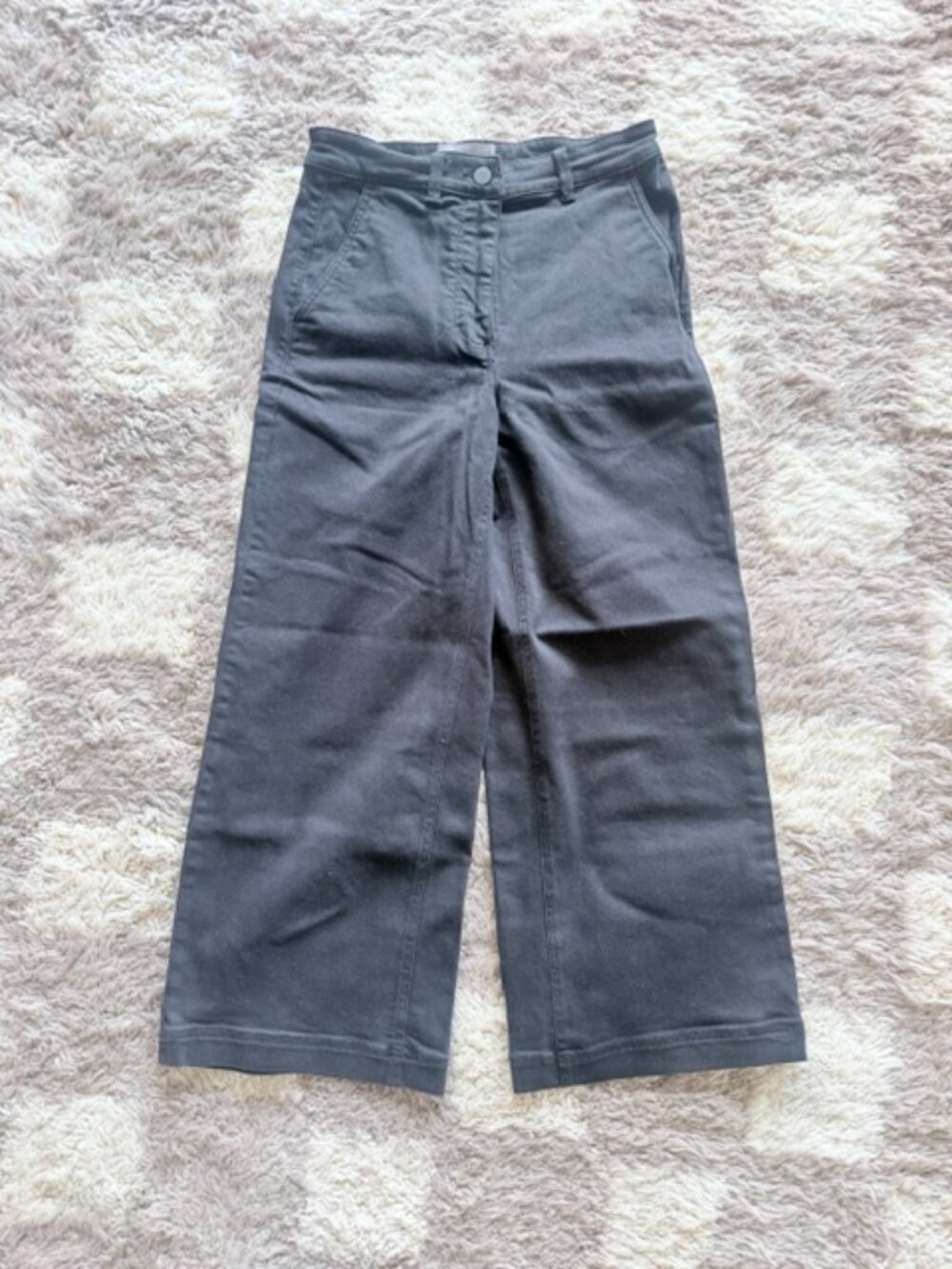 Everlane Cropped Wide Leg Pant